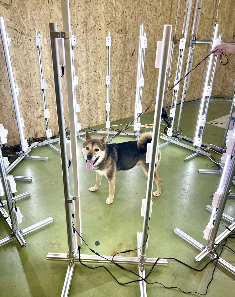 3Dスキャンの様子